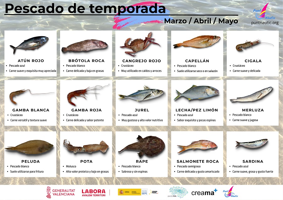 Calendario de pescado de primavera