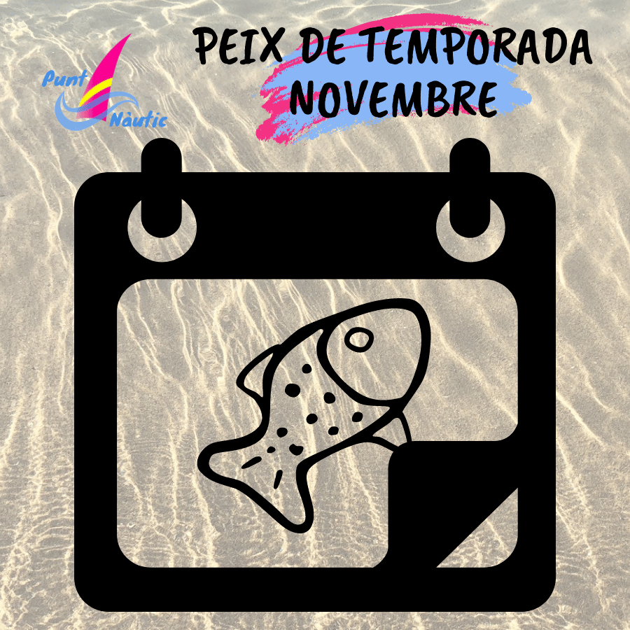 Calendario de pescado del mes de Noviembre